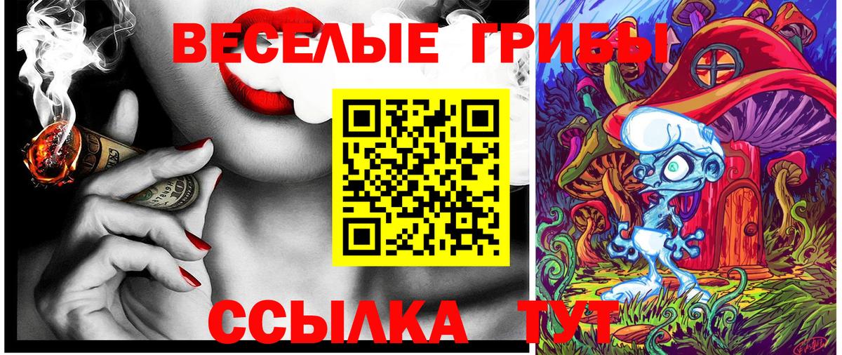 Псилоцибиновые грибы Cubensis Нижнекамск