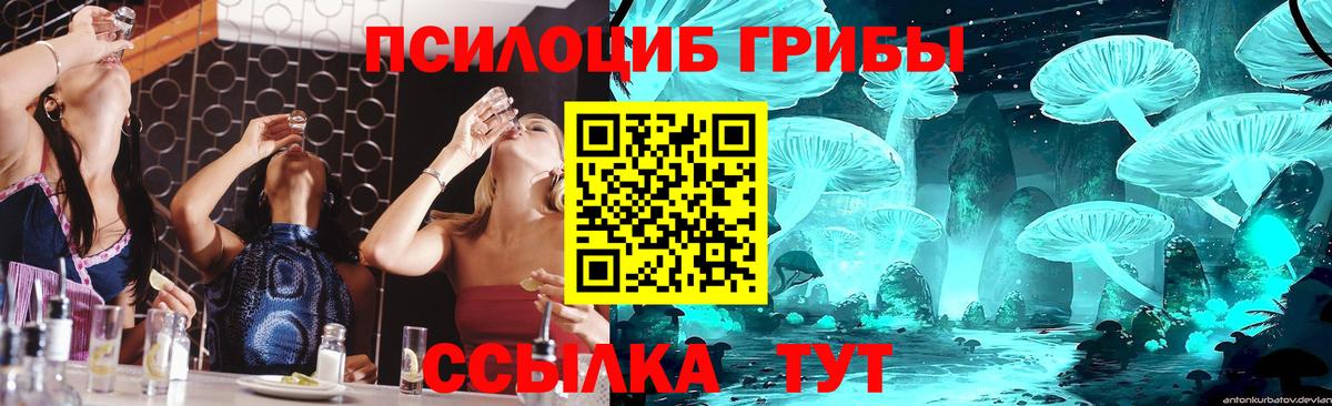 Нижнекамск  Псилоцибиновые грибы Psilocybine cubensis  Вход с VPN  Псилоцибиновые грибы ЛСД 