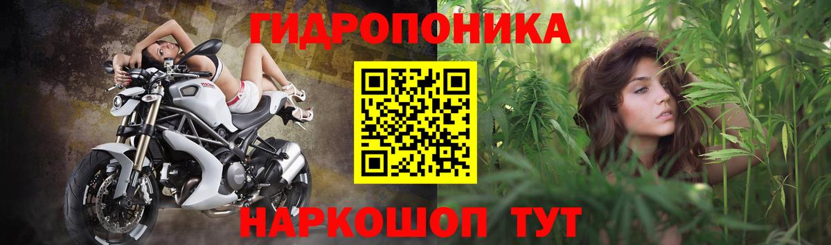 Каннабис LSD WEED  Марихуана White Widow  Каннабис THC 21%  Бошки марихуана VHQ  Вход с VPN  Нижнекамск 